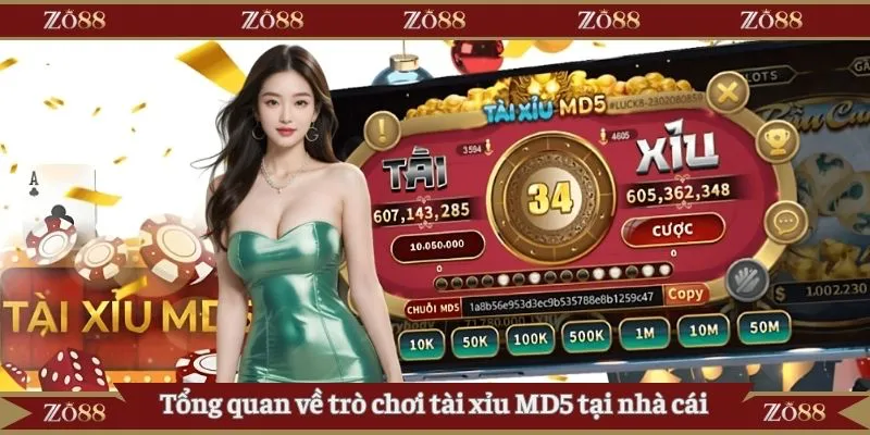 Tổng quan về trò chơi tài xỉu MD5 tại nhà cái